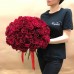 Букет 51 красная роза  с доставкой в Самаре