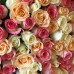 Букет 51 разноцветная роза  с доставкой в Самаре