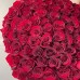 Букет 101 красная роза с доставкой в Самаре