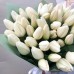 Букет Белоснежные тюльпаны с доставкой в Самаре